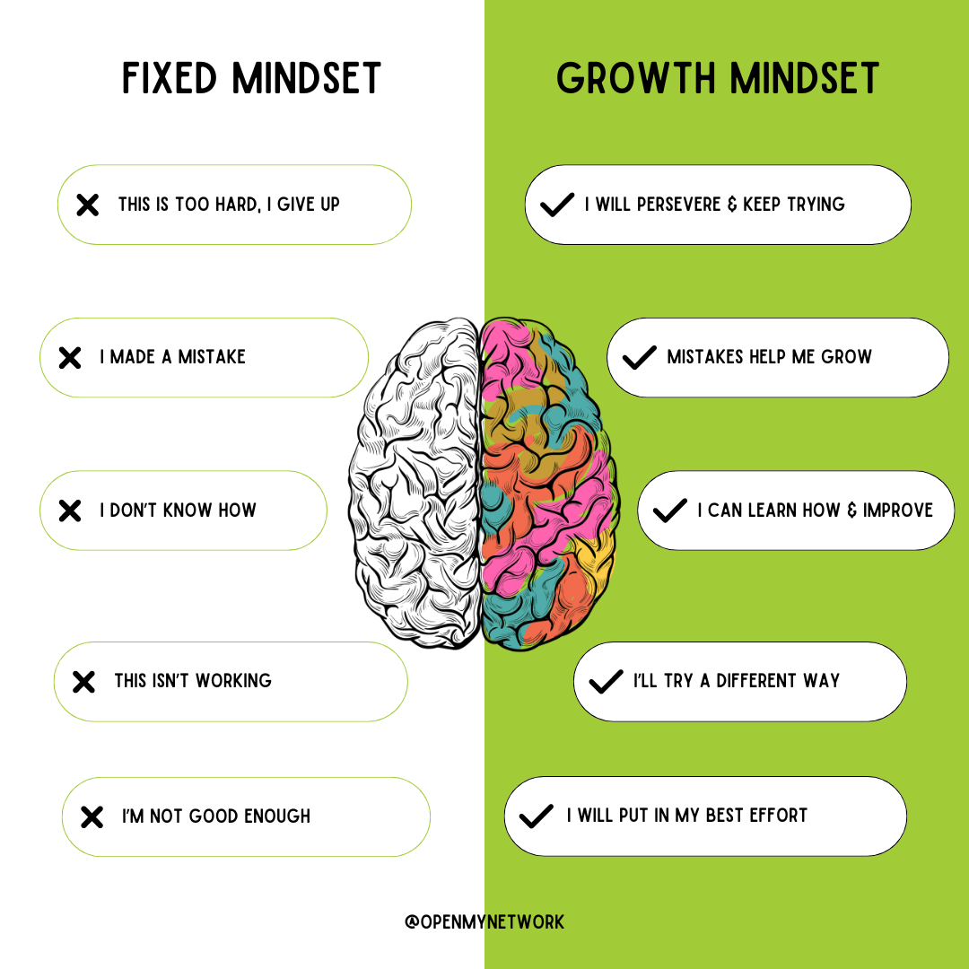 What is a Growth Mindset? - Strategies for Growth - Open My Network