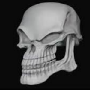 Profile photo of SIBI OMAR KYLE